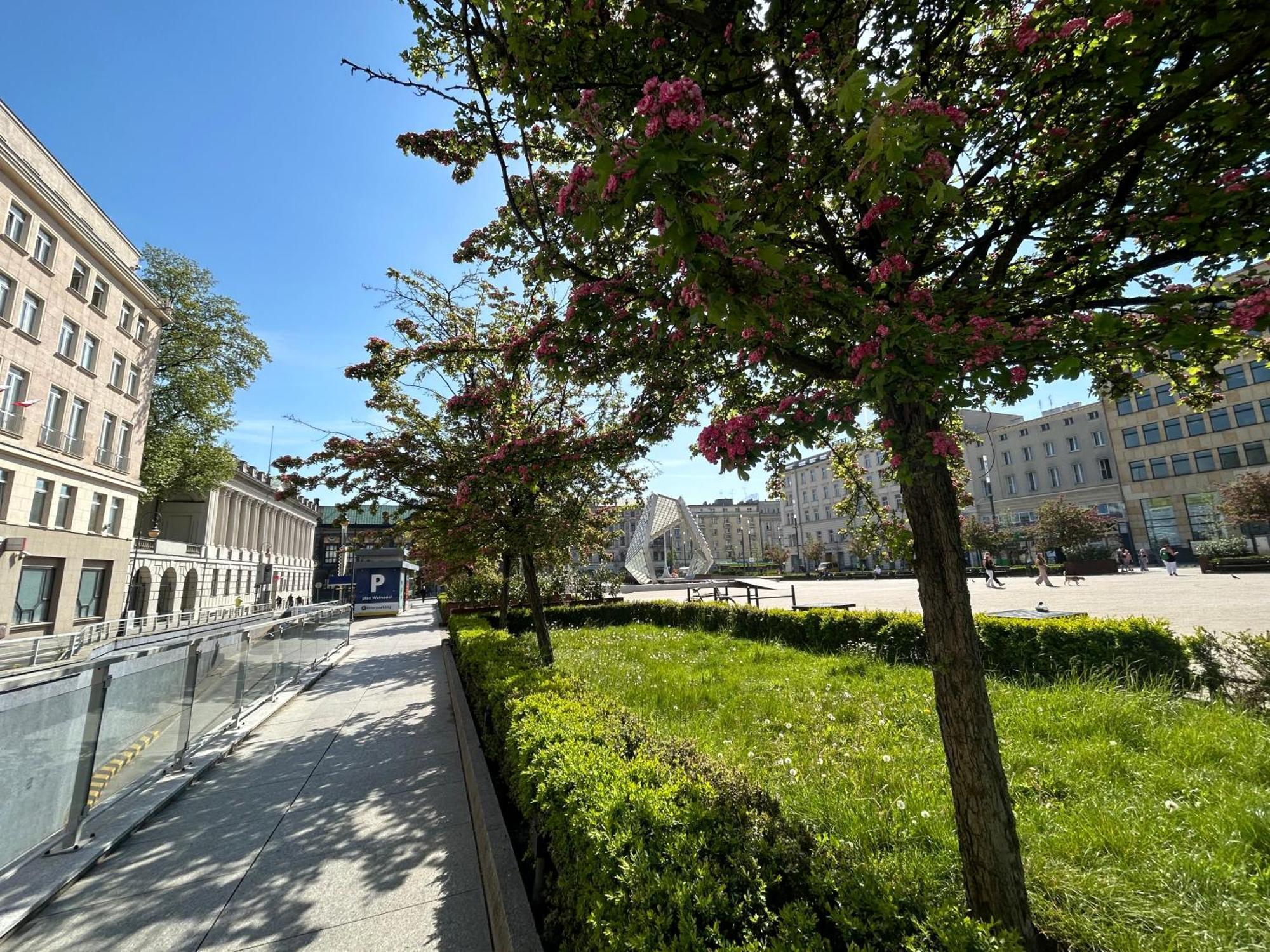 Apartamenty Pl. Wolnosci 6 Poznan Dış mekan fotoğraf